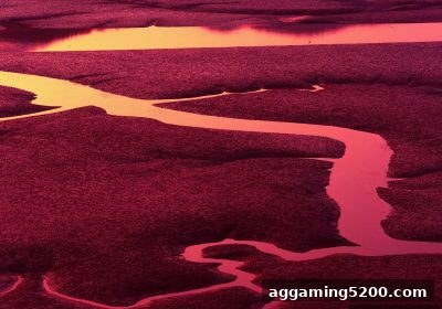 彩票组合玩法深度指南：皇冠体育官网教你玩转组选、胆拖与盈利技巧