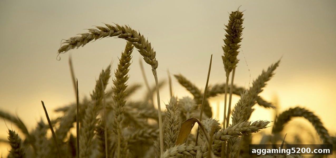 连线设计的核心数学架构与皇冠体育官网的落地应用