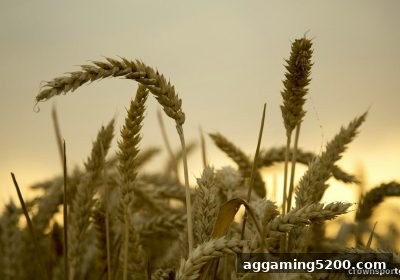 连线设计的核心数学架构与皇冠体育官网的落地应用