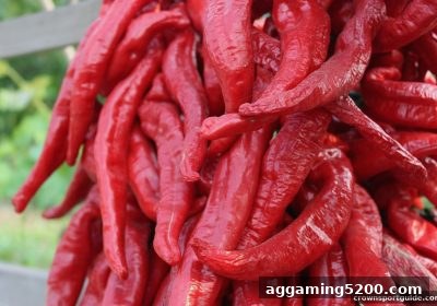 皇冠体育官网数字货币提现审核要等多久？核心因素与实用指南